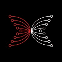Input Output (IOHK)