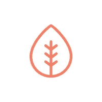 JBJ Foundation (JBJF)